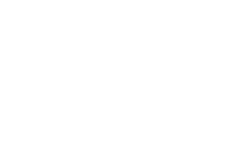 Online wedding